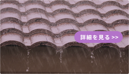 雨漏り修理 詳細を見る